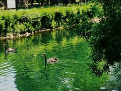 -长白岛森林公园