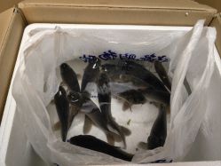 -巡鱼道·室内垂钓·渔具店