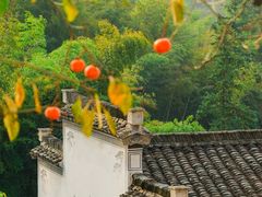 -塔川景区
