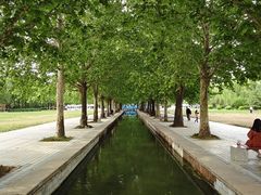 -洛阳市隋唐城遗址植物园