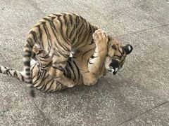 -秦皇岛野生动物园