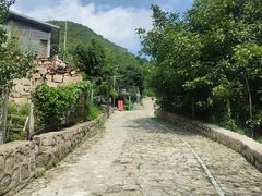-大岭沟猕猴桃谷风景区