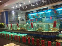 -海大大蒸汽海鲜餐厅·粤菜·特色小炒(欢乐颂店)