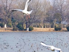 -云龙湖旅游景区