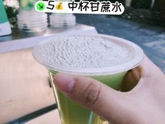 -西双版纳傣族园