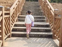 -神光山国家森林公园