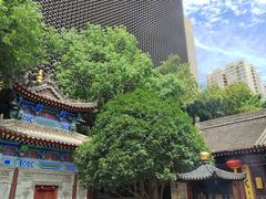 -罔极寺