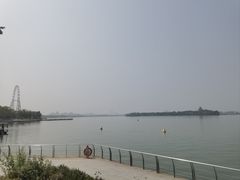 -金鸡湖景区