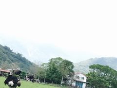 -瑞穗牧场