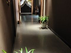 -金狮麟·新豫菜(杏石口路店)