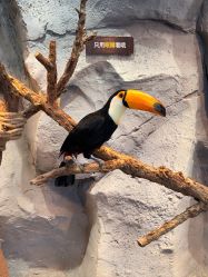 -Zoolung Zoolung动物主题公园(海信广场店)