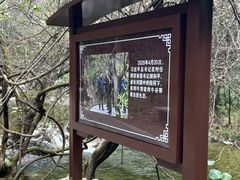 -牛背梁国家森林公园