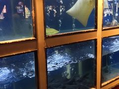水产区-老阿爸鲜鱼土菜(昆山花桥店)