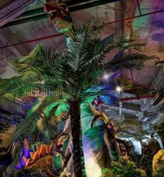 -恐龙探索乐园(磁器口店)