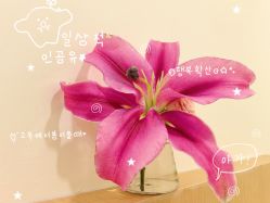 -FUMEIHUI·科技美肤·美体SPA