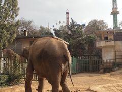 -昆明动物园