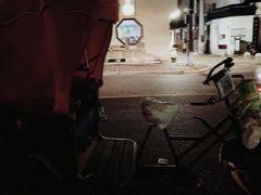 -暮晚尘香汉服旗袍