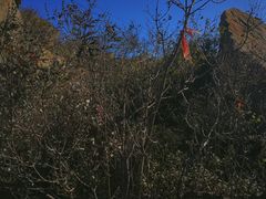 -封龙山风景区