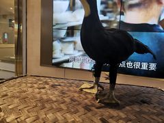 -马家斑.鲜鱼火锅(松湖万科店)