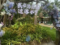 -西双版纳傣族园