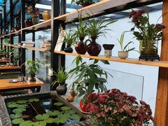 -老仓醋米线(大观店)