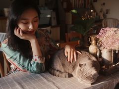 -海边的猫和咖啡馆