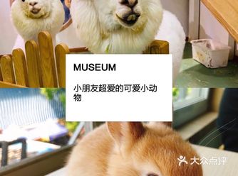 上海超级热门的人气宠物儿童乐园