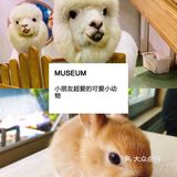 上海超级热门的人气宠物儿童乐园🎠