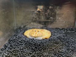 点击看大图 -Zoolung Zoolung动物主题公园(海信广场店)