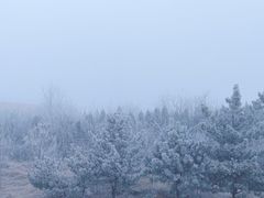 -哈尔滨热雪奇迹
