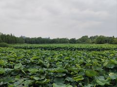 -云龙湖旅游景区