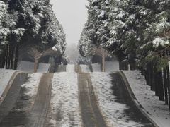 -秦始皇帝陵博物院-丽山园