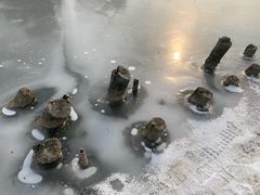 -前关湿地公园