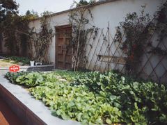 -硅谷蒙学幼儿园