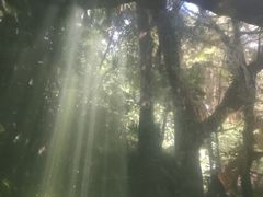 -青青世界