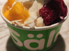 -Salud撒露欧洲冻酸奶(五道口购物中心店)