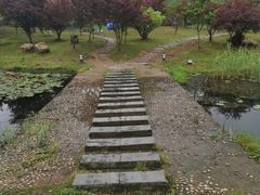 -石塘人家