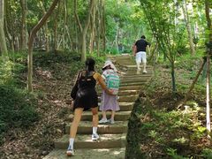 -上海佘山国家森林公园天马山园