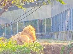 -石家庄市动物园