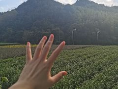 -东钱湖旅游度假区