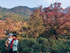 -塔川景区