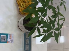 -AudioNova 海之声助听器峰力助听器索诺瓦自营店(北京店)