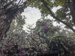 -深圳国际园林花卉博览园