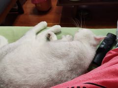 -美联众合24小时·皮肤科·外科·全科诊疗中心(华苑分院)