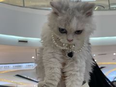 -成都银泰城