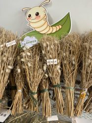 -太湖雪蚕桑文化园