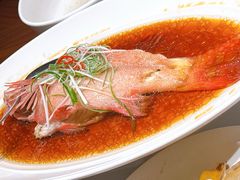 清蒸东星斑-阿明小菜·海鲜·上海菜(梅陇店)