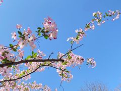 -莫愁湖公园