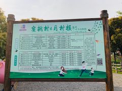 -田园东方蜜桃村的田野营地