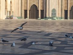 -哈桑二世清真寺